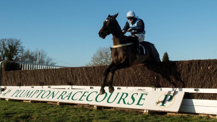 A horse in action over fences at Plumpton